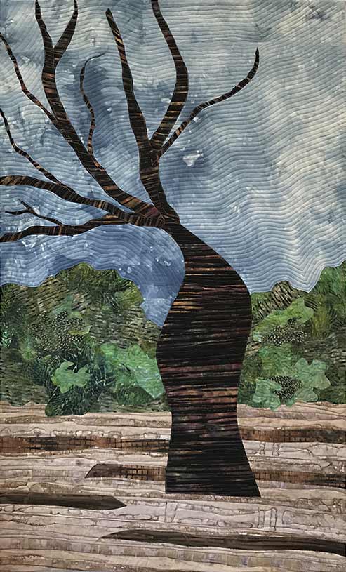 Baobab Tree by Donna Radner