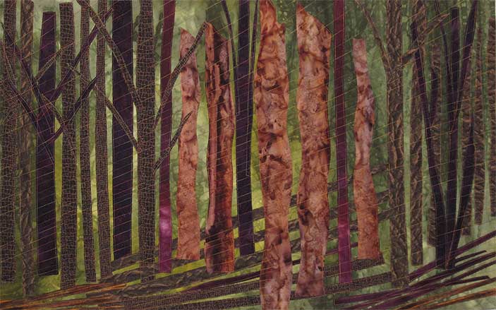 Tree Trunks 3 by Donna Radner