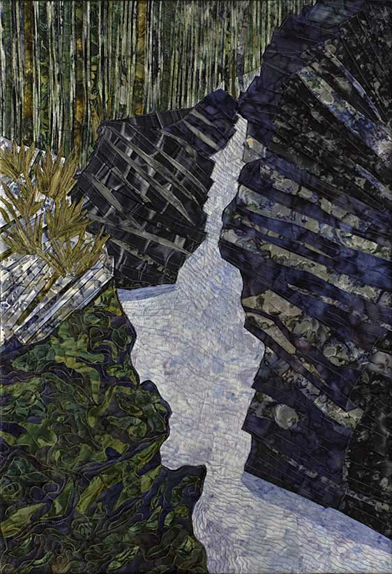 North Woods by Donna Radner